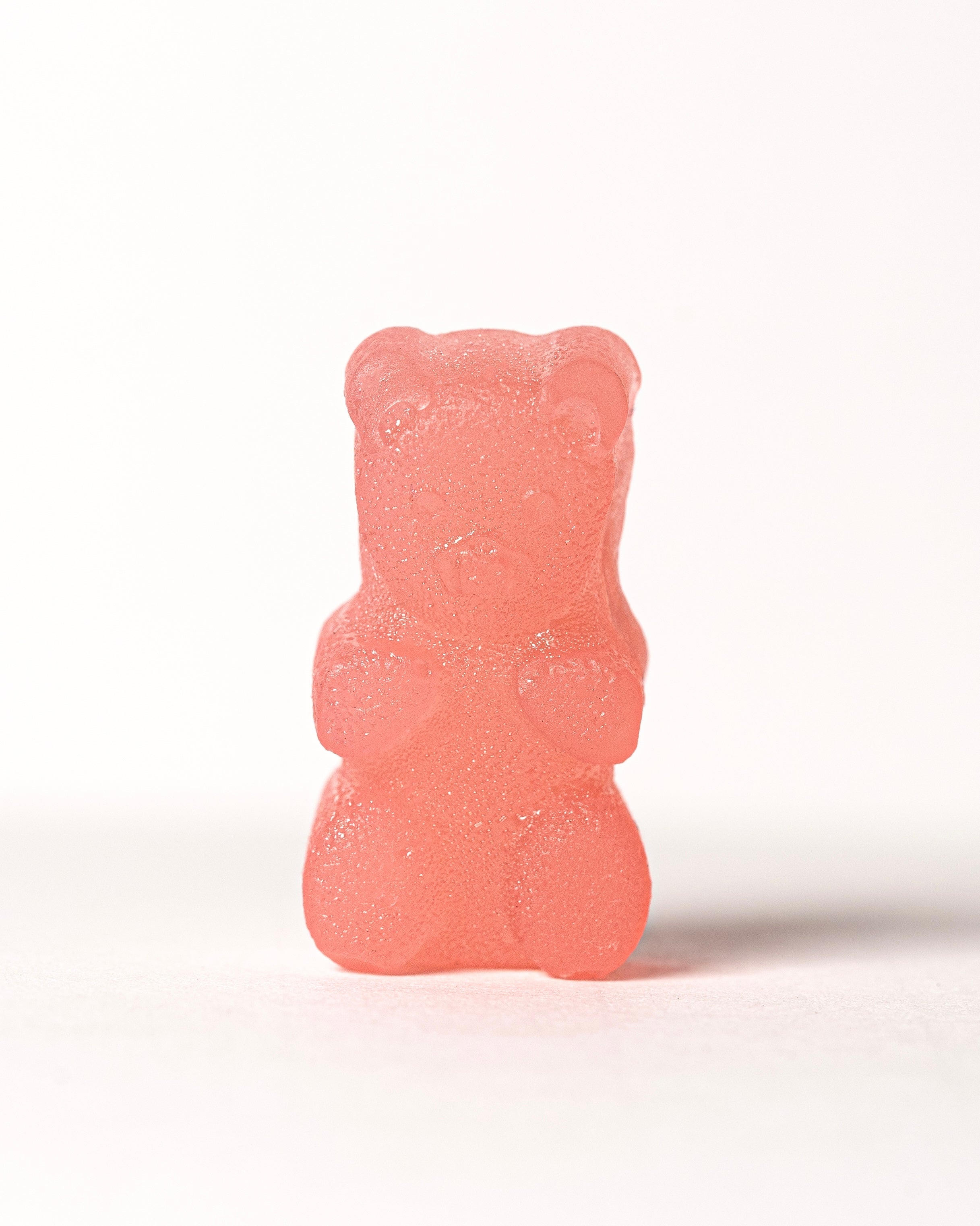 Vitamin Gummies – Bear Bites